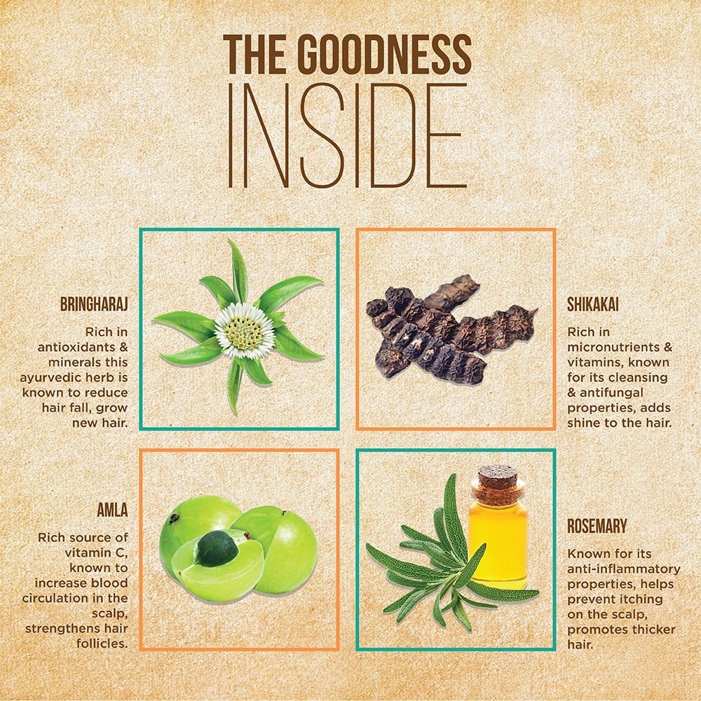 Indulekha Bringha Hair Cleanser, 100 ml, Pack of 1 Indulekha Bringha Hair Cleanser, 100 ml, Pack of 1