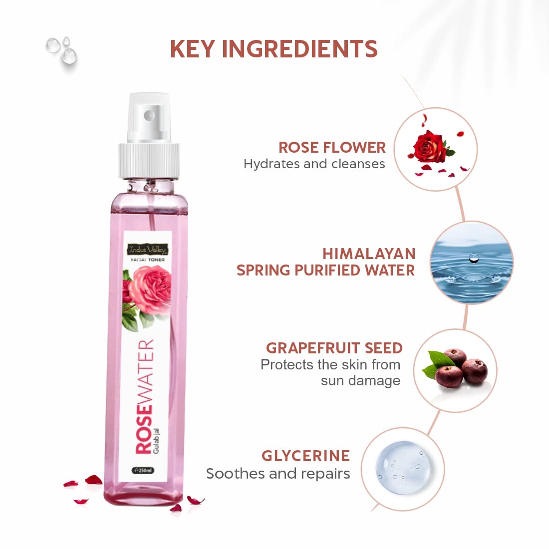 Indus Valley Rose Water 250 ml | Facial Toner | Cleanses Oil & Dirt | Hydrates, Refreshes & Brightens Skin, Pack of 1 Indus Valley Rose Water 250 ml | Facial Toner | Cleanses Oil & Dirt | Hydrates, Refreshes & Brightens Skin, Pack of 1