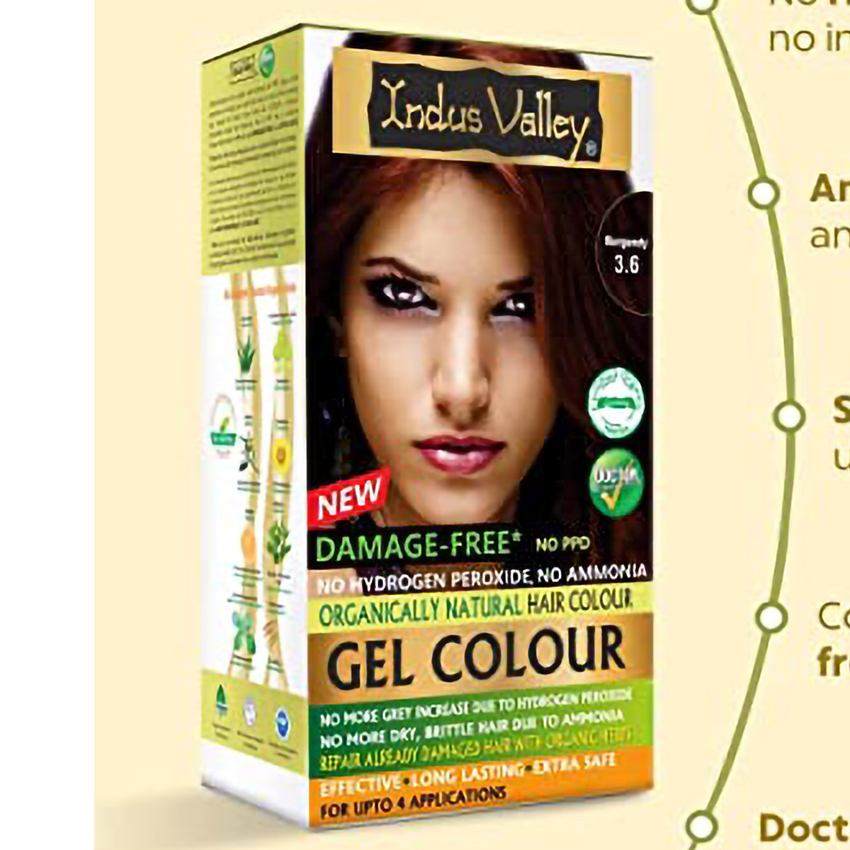 Indus Valley Organically Natural Gel Burgundy 3.6 Hair Color, 200 ml, Pack of 1 Indus Valley Organically Natural Gel Burgundy 3.6 Hair Color, 200 ml, Pack of 1