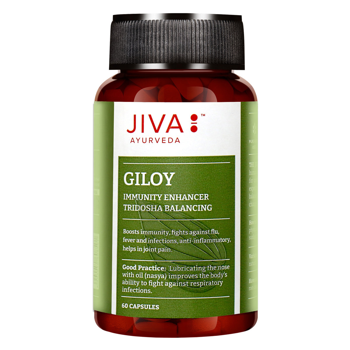 Jiva Giloy, 60 Capsules, Pack of 1 Jiva Giloy, 60 Capsules, Pack of 1