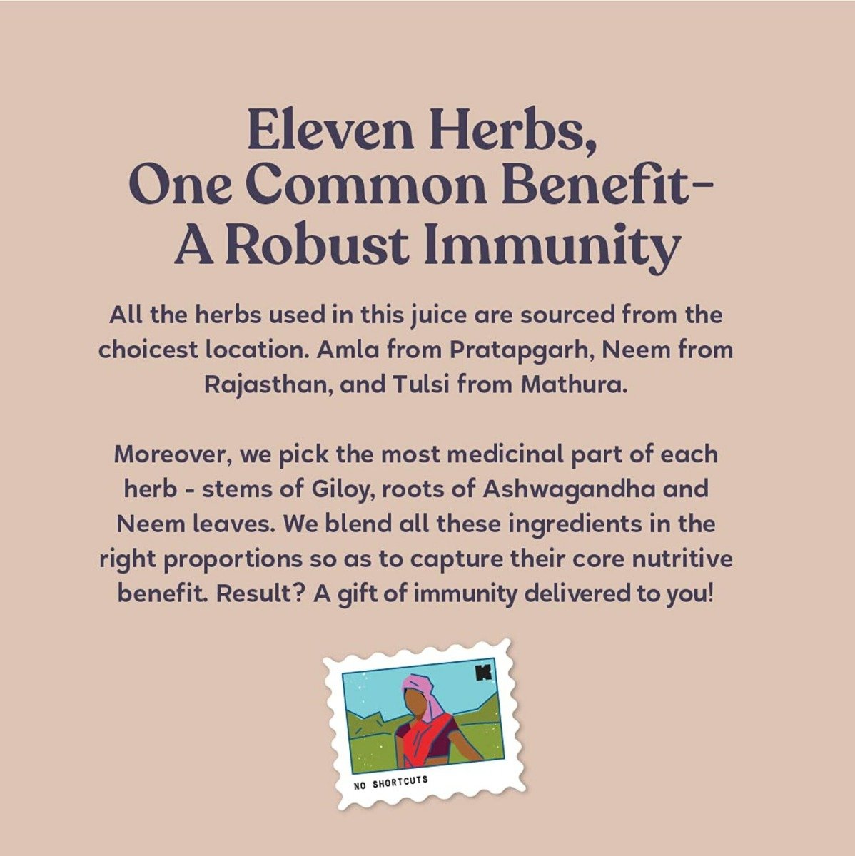 Kapiva Immune Care Juice, 1 L, Pack of 1 Kapiva Immune Care Juice, 1 L, Pack of 1