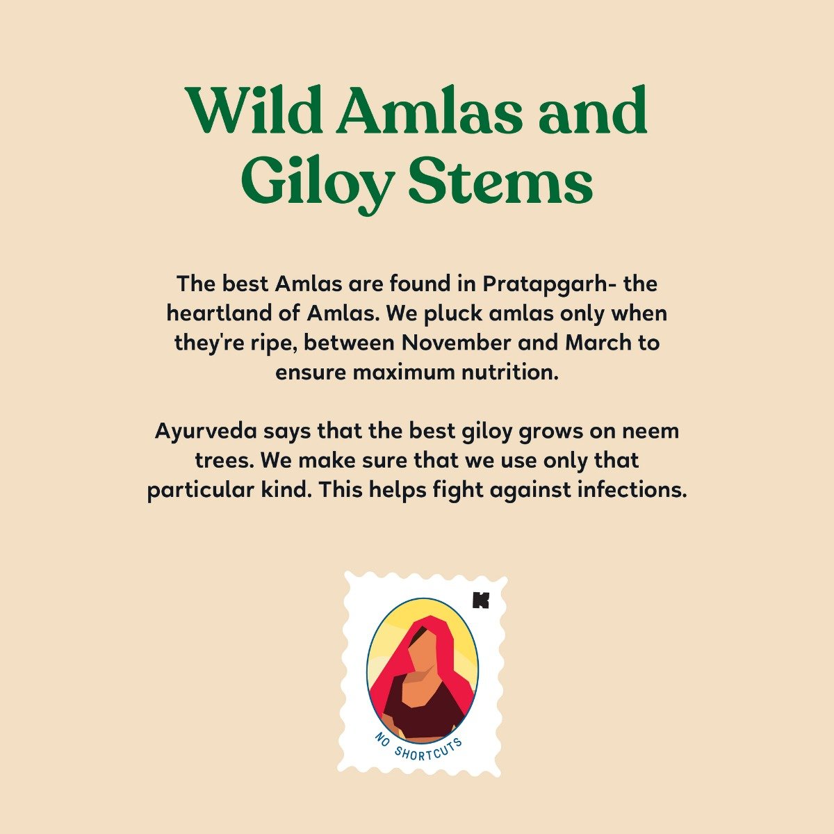 Kapiva Amla + Giloy Juice, 1 L, Pack of 1 Kapiva Amla + Giloy Juice, 1 L, Pack of 1