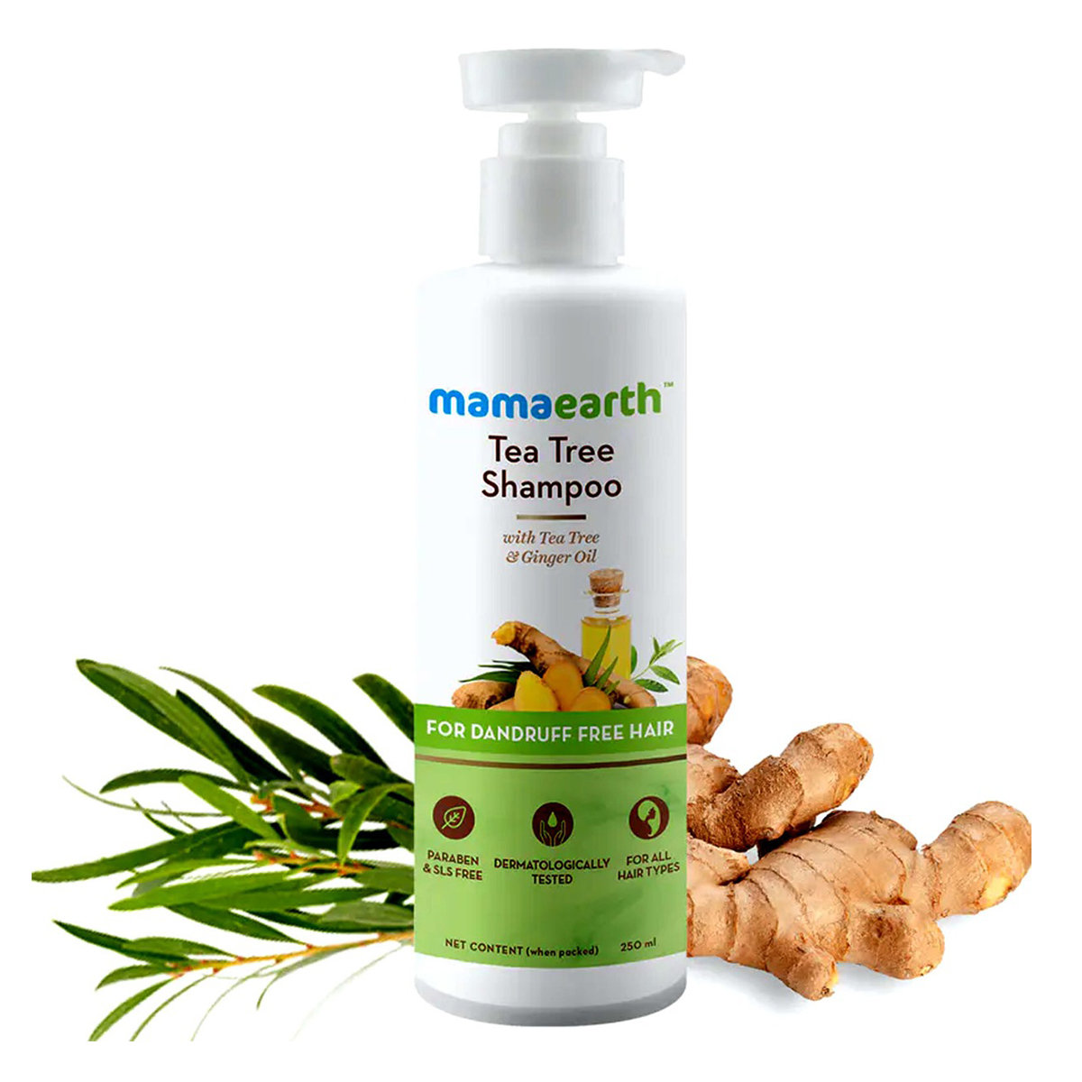 Mamaearth Tea Tree & Ginger Oil Shampoo, 250 ml, Pack of 1 Mamaearth Tea Tree & Ginger Oil Shampoo, 250 ml, Pack of 1