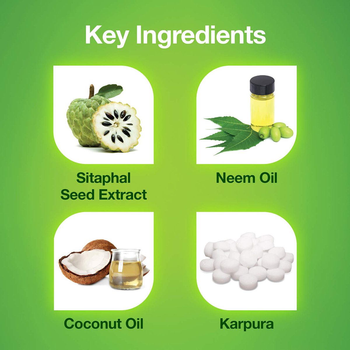 Mediker Anti-Lice Treatment Shampoo, 50 ml, Pack of 1 Mediker Anti-Lice Treatment Shampoo, 50 ml, Pack of 1