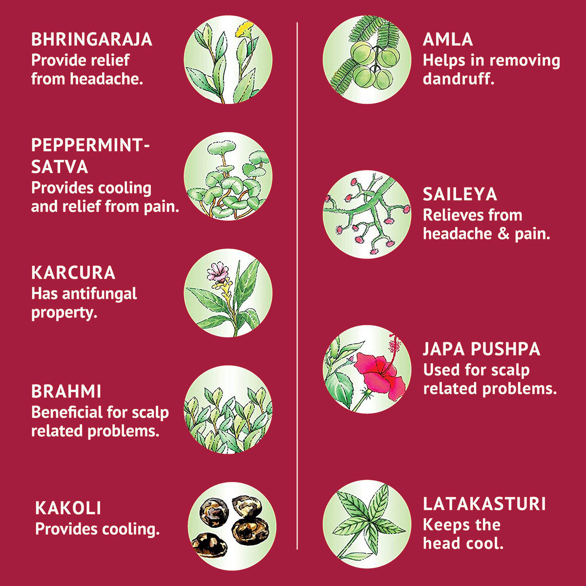 Navratna Ayurvedic Cool Hair Oil, 300 ml, Pack of 1 Navratna Ayurvedic Cool Hair Oil, 300 ml, Pack of 1