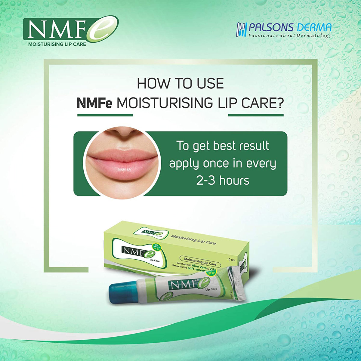 Nmfe Lip Care, 10 gm, Pack of 1 Nmfe Lip Care, 10 gm, Pack of 1