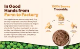 Origin Nutrition 100% Natural Vegan Protein  Coffee Caramel Flavour Powder, 258 gm, Pack of 1