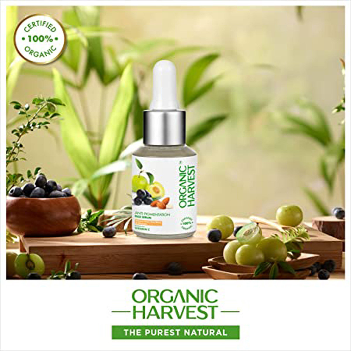 Organic Harvest Anti Pigmentation Serum 30 ml | With Vitamin C, Kakadu Plum, Acai Berry & Almond | Lightens Pigmentation | Hydrates Skin | 100% Certified Organic | For All Skin Type, Pack of 1 Organic Harvest Anti Pigmentation Serum 30 ml | With Vitamin C, Kakadu Plum, Acai Berry & Almond | Lightens Pigmentation | Hydrates Skin | 100% Certified Organic | For All Skin Type, Pack of 1