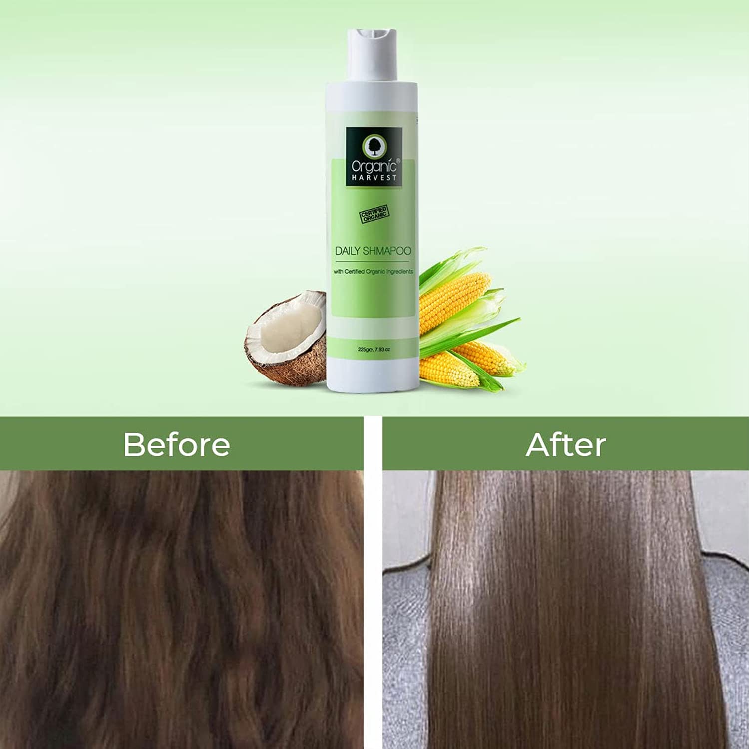 Organic Harvest Daily Shampoo, 225 ml, Pack of 1 Organic Harvest Daily Shampoo, 225 ml, Pack of 1