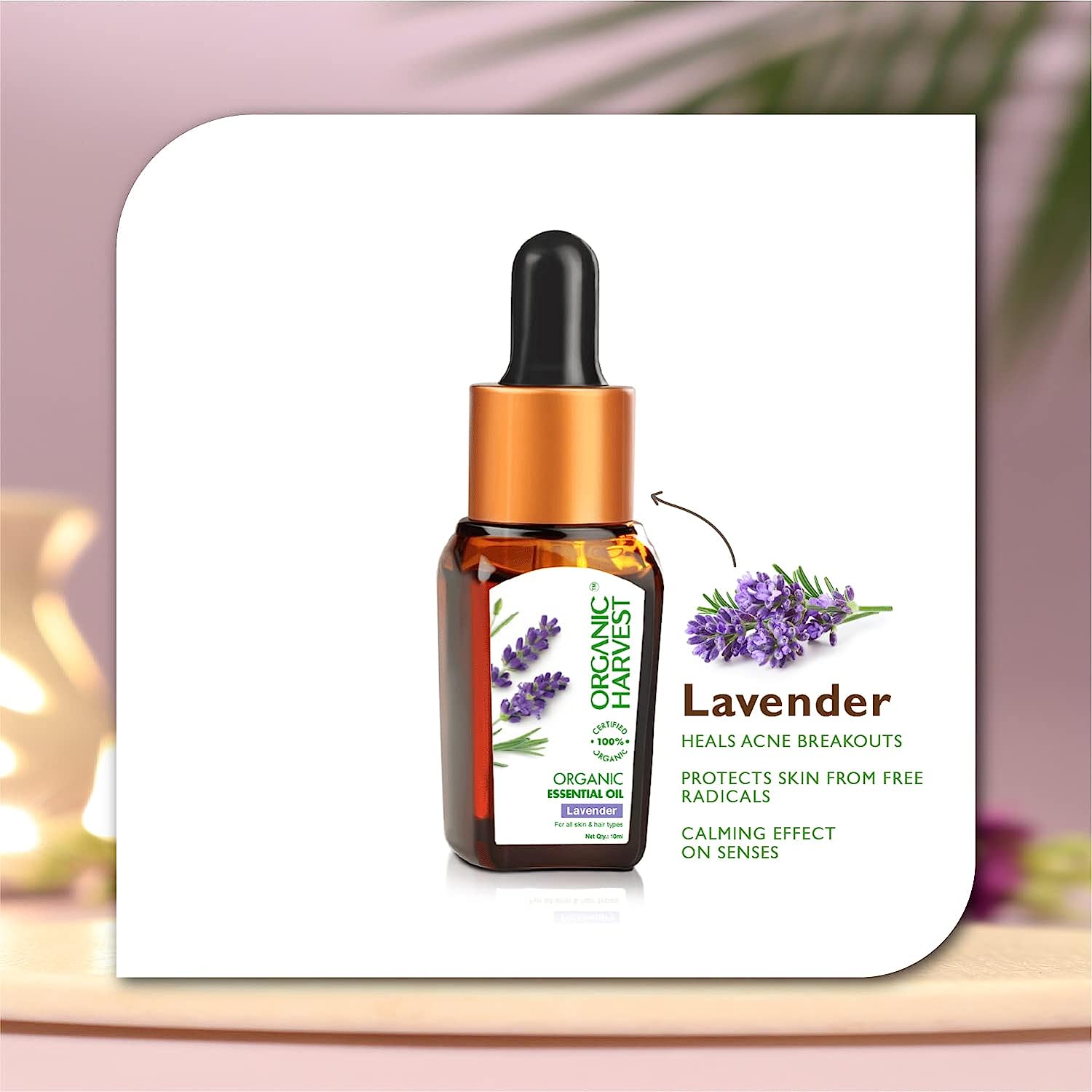 Organic Harvest Lavender Essential Oil 10 ml | 100% Certified Organic | For All Skin & Hair Type, Pack of 1 Organic Harvest Lavender Essential Oil 10 ml | 100% Certified Organic | For All Skin & Hair Type, Pack of 1