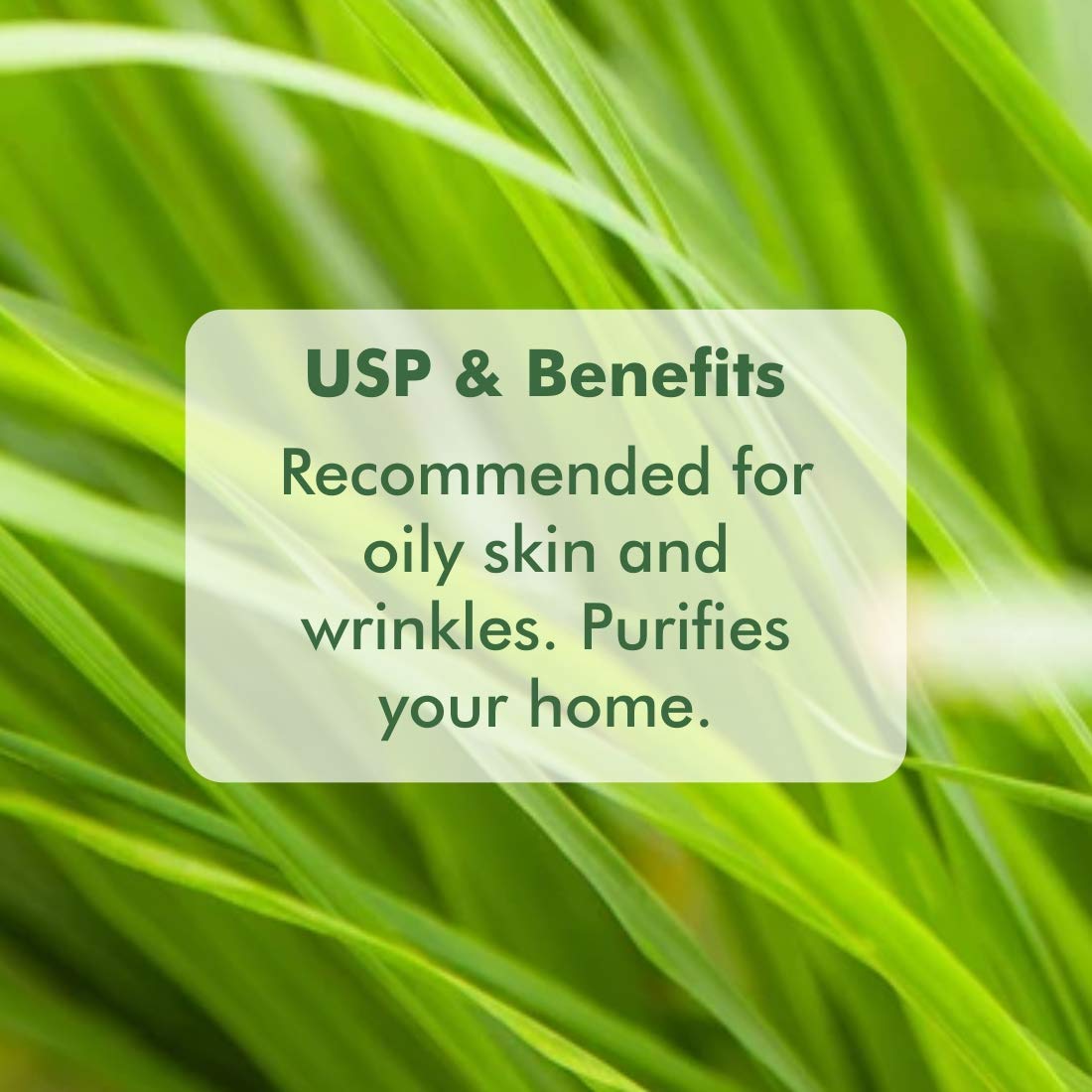 Organic Harvest Lemon Grass Essential Oil 10 ml | Pure Lemon Grass Oil | Treats Wrinkles | Pruifies Home | Skin Care Oil | Organic | For Oily Skin, Pack of 1 Organic Harvest Lemon Grass Essential Oil 10 ml | Pure Lemon Grass Oil | Treats Wrinkles | Pruifies Home | Skin Care Oil | Organic | For Oily Skin, Pack of 1