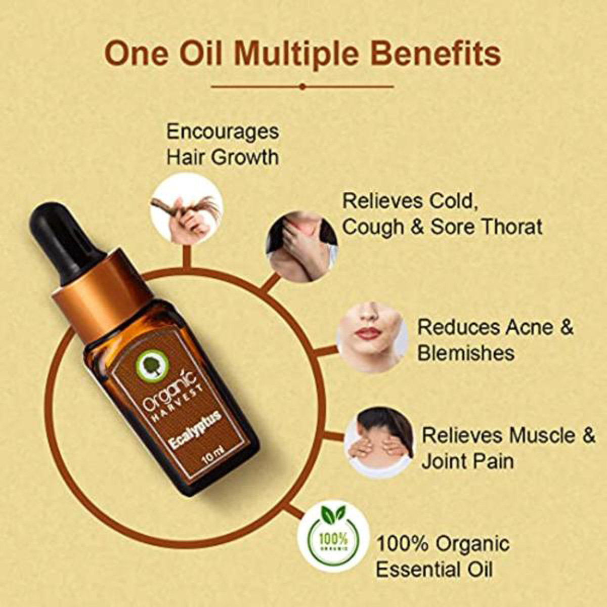 Organic Harvest Ecalyptus Essential Oil 10 ml | For Face, Skin & Hair Care | Relieves Muscle & Joint Pain | 100% Orgainc Essential Oil, Pack of 1 Organic Harvest Ecalyptus Essential Oil 10 ml | For Face, Skin & Hair Care | Relieves Muscle & Joint Pain | 100% Orgainc Essential Oil, Pack of 1