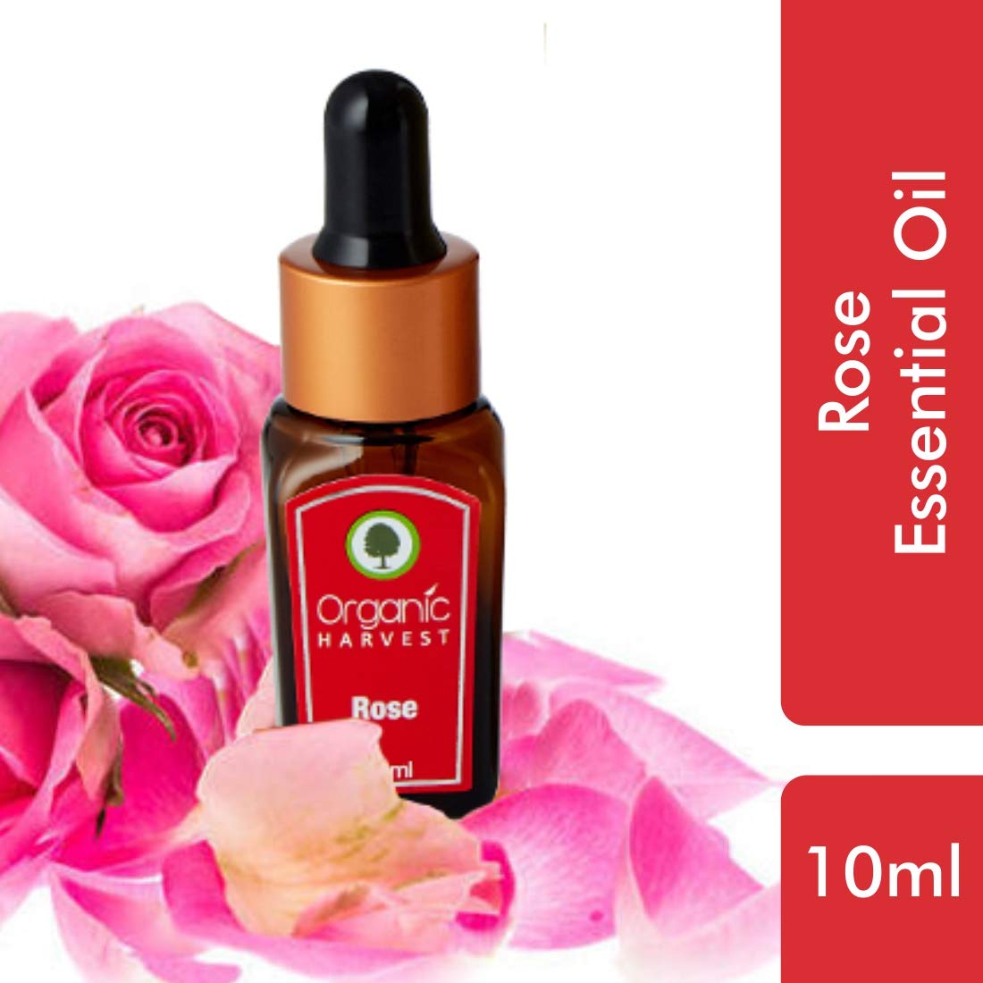 Organic Harvest Rose Essential Oil 10 ml | Pure Rose Oil | Treats Dry Acne & Wrinkles | Evens Skin Tone | Organic, Pack of 1 Organic Harvest Rose Essential Oil 10 ml | Pure Rose Oil | Treats Dry Acne & Wrinkles | Evens Skin Tone | Organic, Pack of 1
