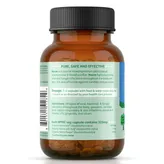 Organic India Neem Blood Purifier, 60 Veg Capsules, Pack of 1