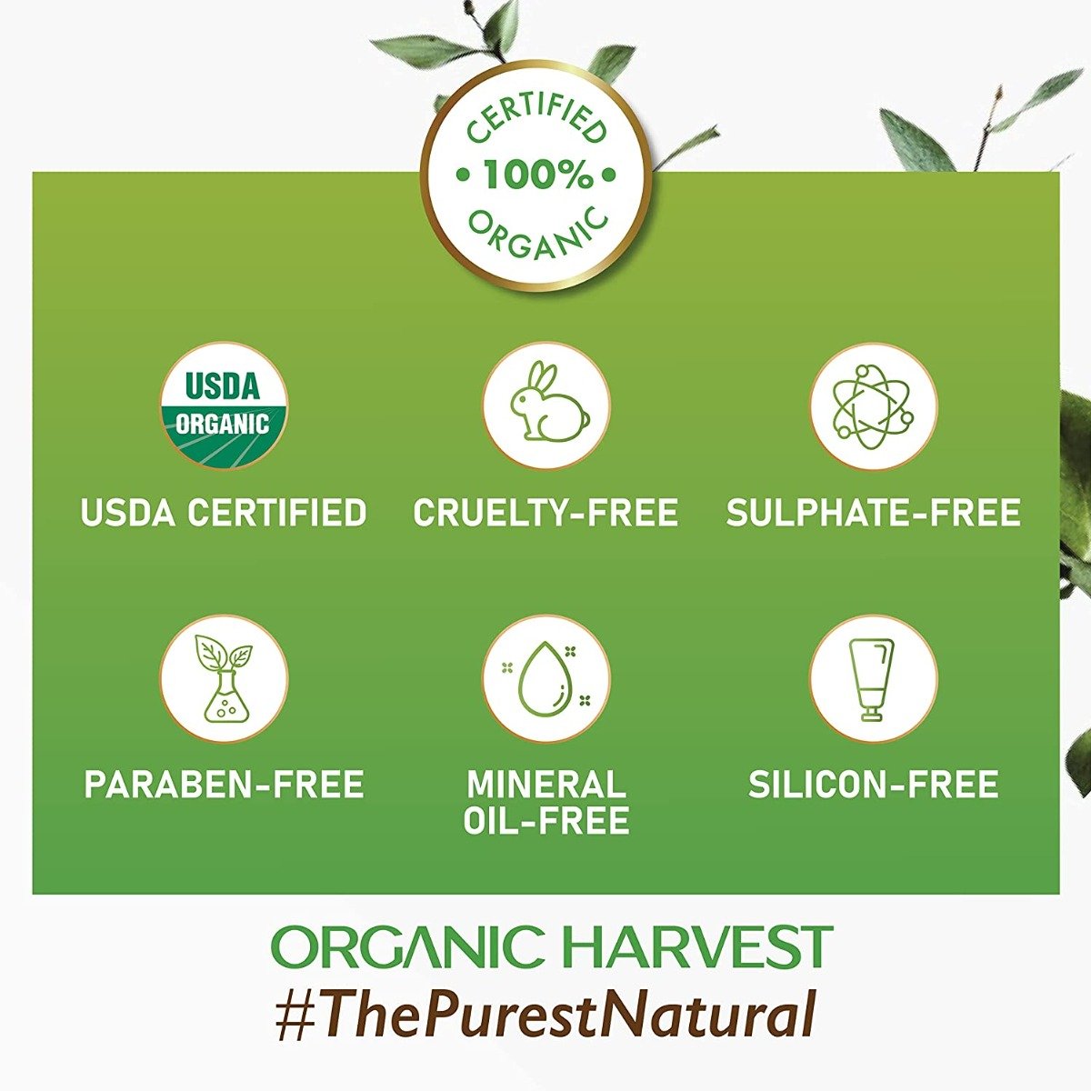 Organic Harvest SPF 30 Sunscreen Cream for All Skin, 100 gm, Pack of 1 Organic Harvest SPF 30 Sunscreen Cream for All Skin, 100 gm, Pack of 1