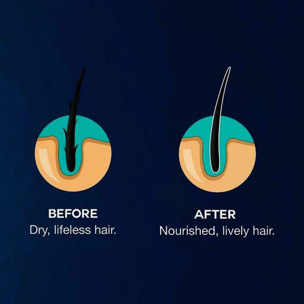 Parachute Advansed After Shower Non Sticky Hair Cream, 100 gm, Pack of 1 Parachute Advansed After Shower Non Sticky Hair Cream, 100 gm, Pack of 1