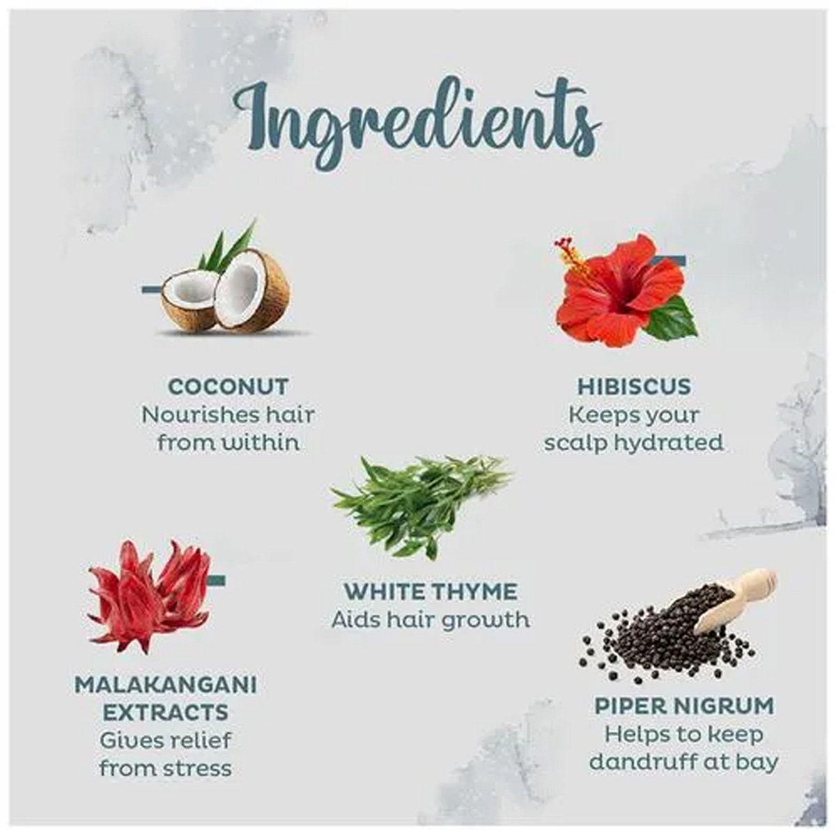 Parachute Advansed Ayurvedic Hot Oil, 190 ml, Pack of 1 Parachute Advansed Ayurvedic Hot Oil, 190 ml, Pack of 1