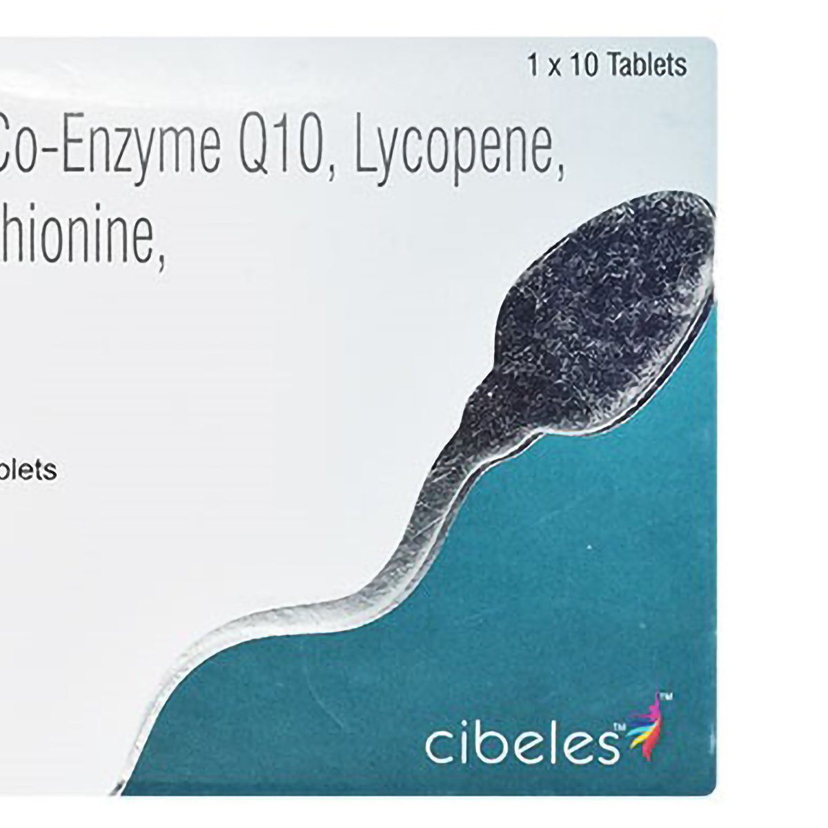 Procibel M Tablet 10's, Pack of 10 TABLETS Procibel M Tablet 10's, Pack of 10 TABLETS