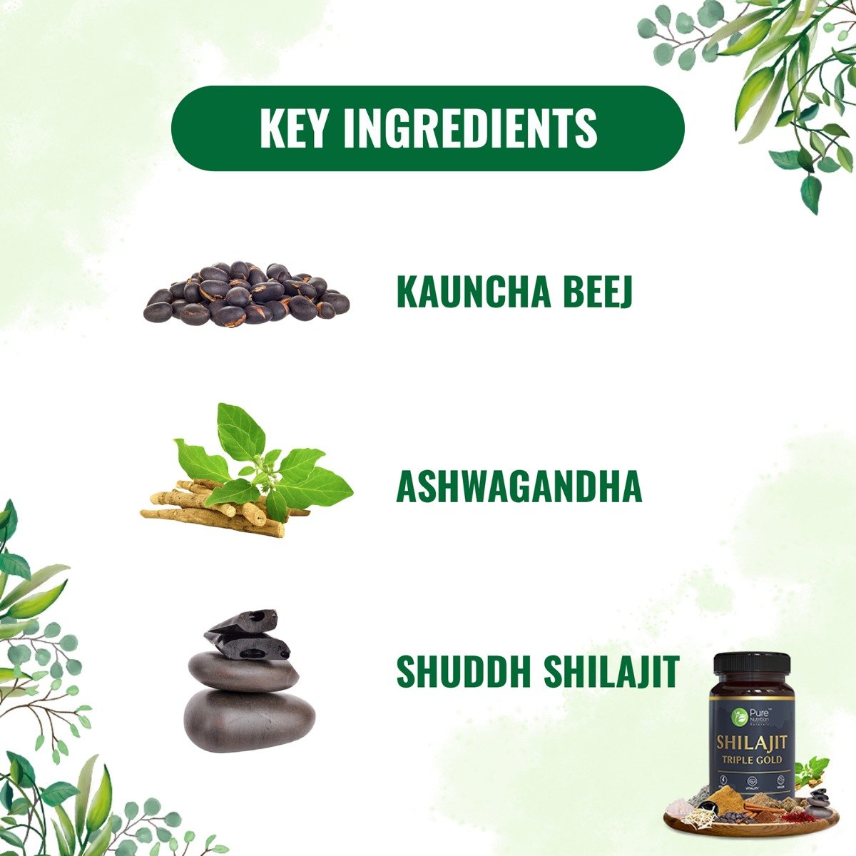 Pure Nutrition Shilajit Triple Gold 700 mg, 30 Capsules, Pack of 1 Pure Nutrition Shilajit Triple Gold 700 mg, 30 Capsules, Pack of 1