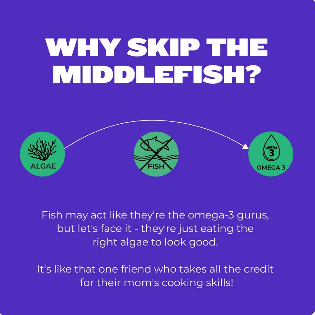 RawRX Vegan Omega-3 Fatty Acid with EPA + DHA + ALA for Hair Growth, Heart Care & Joint Pain, 60 Capsules, Pack of 1 RawRX Vegan Omega-3 Fatty Acid with EPA + DHA + ALA for Hair Growth, Heart Care & Joint Pain, 60 Capsules, Pack of 1