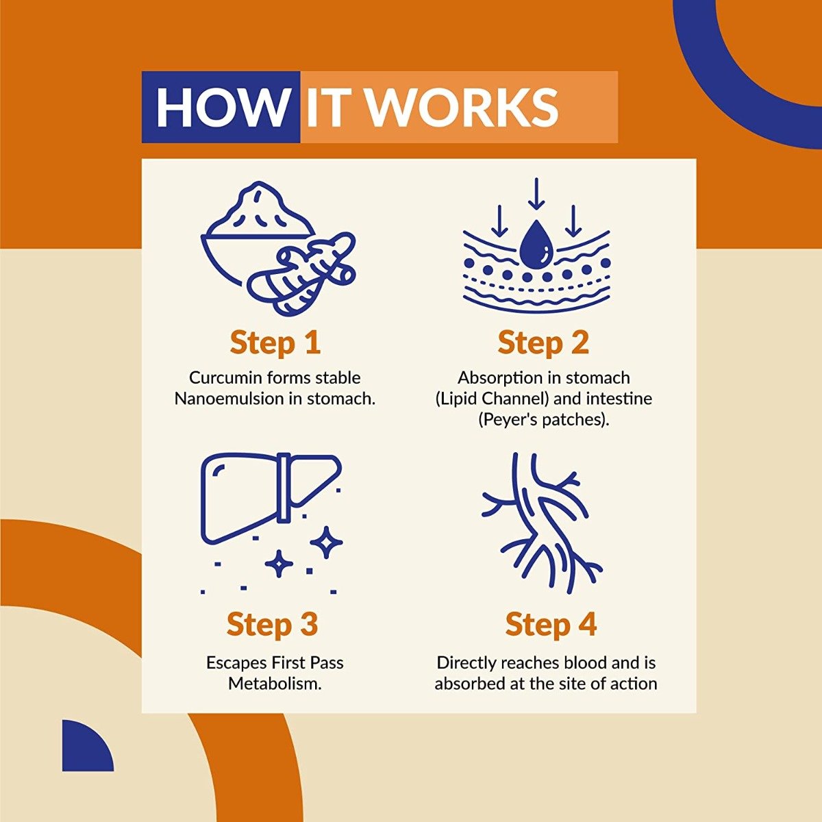 SNEC30 Liquid Curcumin, 15 Capsules, Pack of 15 SNEC30 Liquid Curcumin, 15 Capsules, Pack of 15