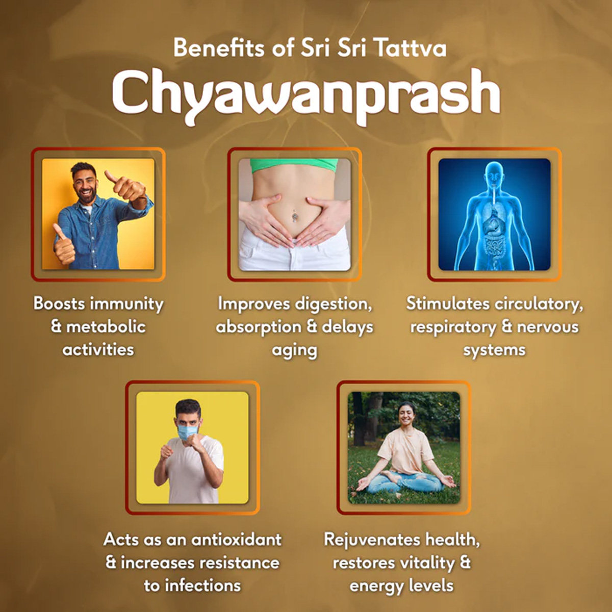 Sri Sri Tattva Chyawanprash, 1 Kg, Pack of 1 Sri Sri Tattva Chyawanprash, 1 Kg, Pack of 1