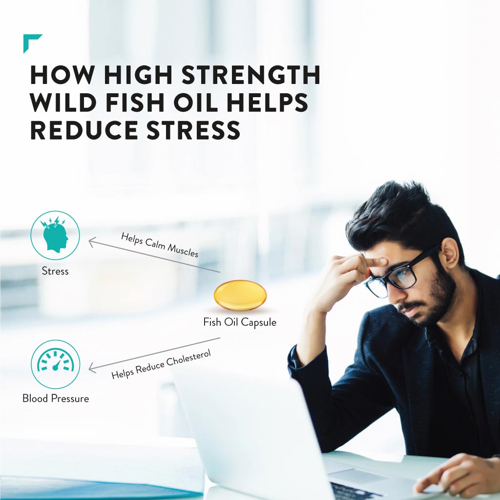 Swisse Ultiboost 1500 mg High Strength Wild Fish Oil, 60 Capsules, Pack of 1 Swisse Ultiboost 1500 mg High Strength Wild Fish Oil, 60 Capsules, Pack of 1