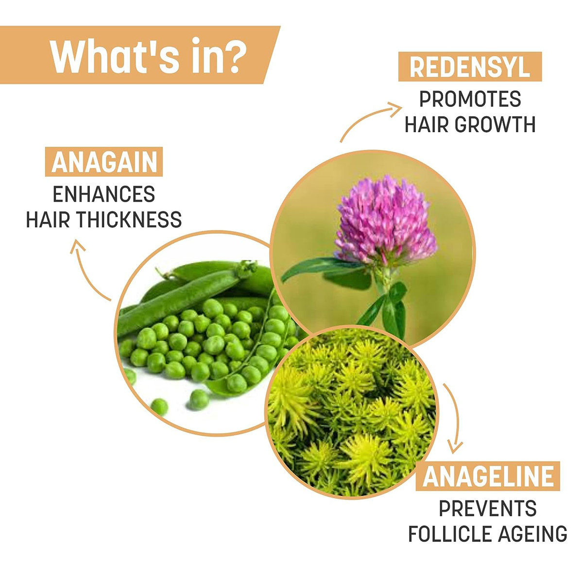 Trichonew Hair Growth Serum 60 ml, Pack of 1 Trichonew Hair Growth Serum 60 ml, Pack of 1