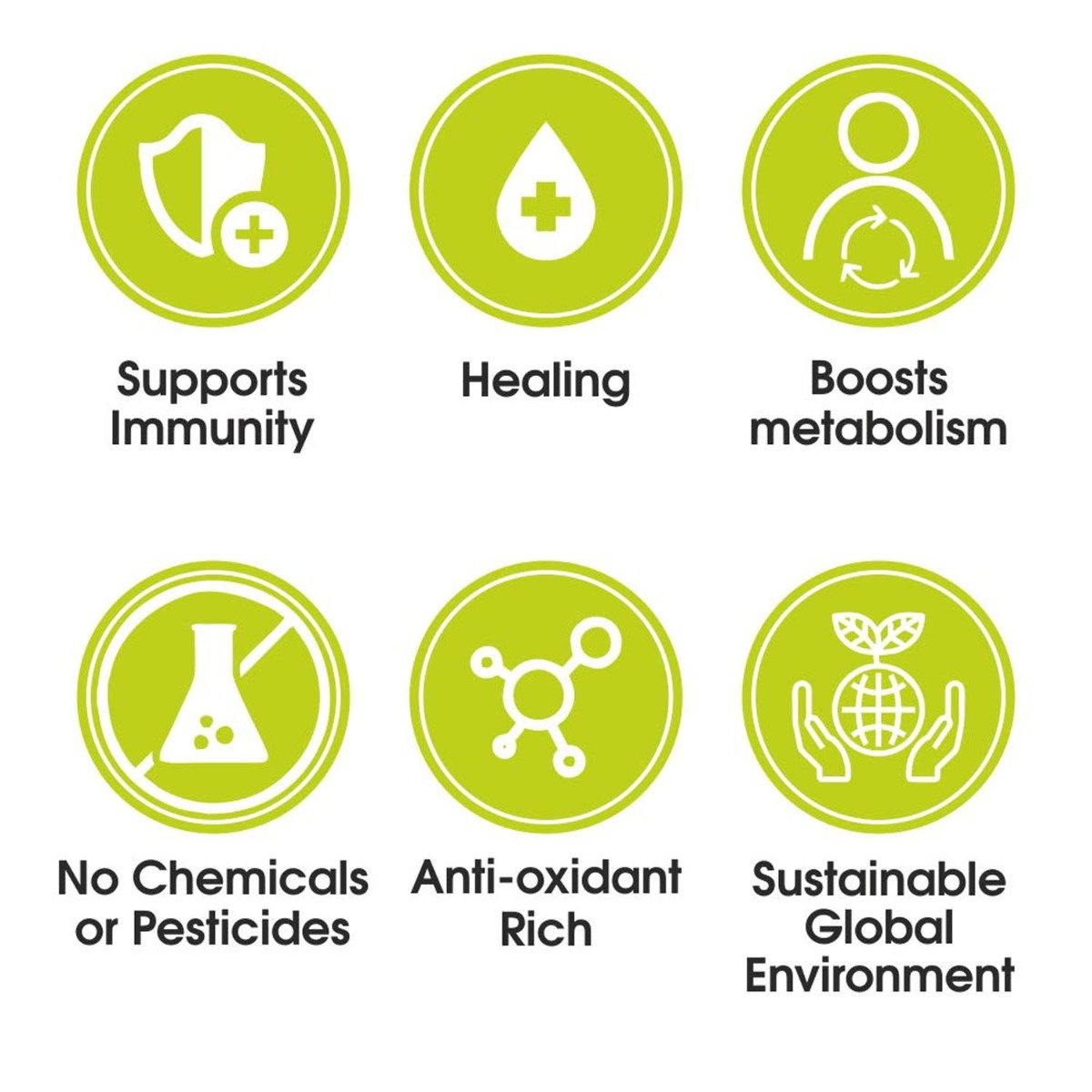 Ty.phoo Supporting Green Tea Tulsi Bags, 25 Count, Pack of 1 Ty.phoo Supporting Green Tea Tulsi Bags, 25 Count, Pack of 1