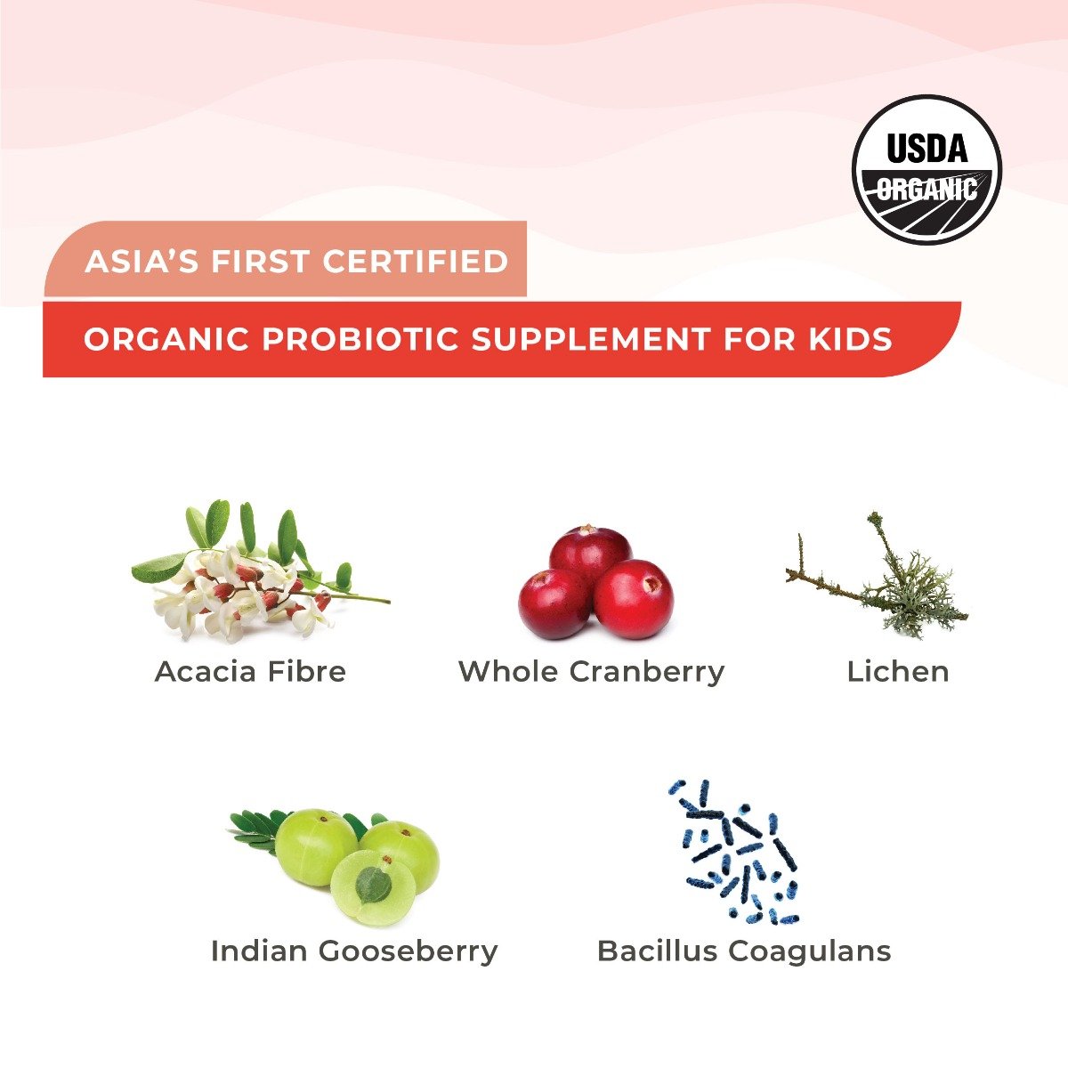 Wellbeing Nutrition Melts Into Active Frozen Probiotic Strips, 30 Count, Pack of 1 Wellbeing Nutrition Melts Into Active Frozen Probiotic Strips, 30 Count, Pack of 1