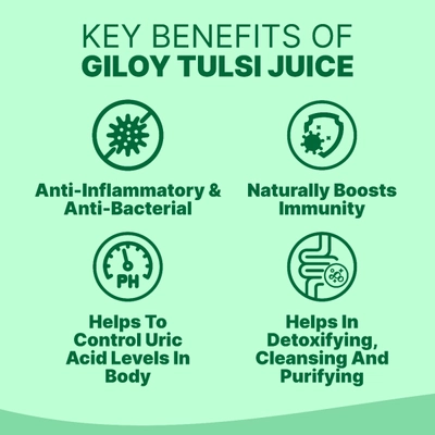 Apollo Life Giloy Tulsi Plus Juice, 500 ml, Pack of 1