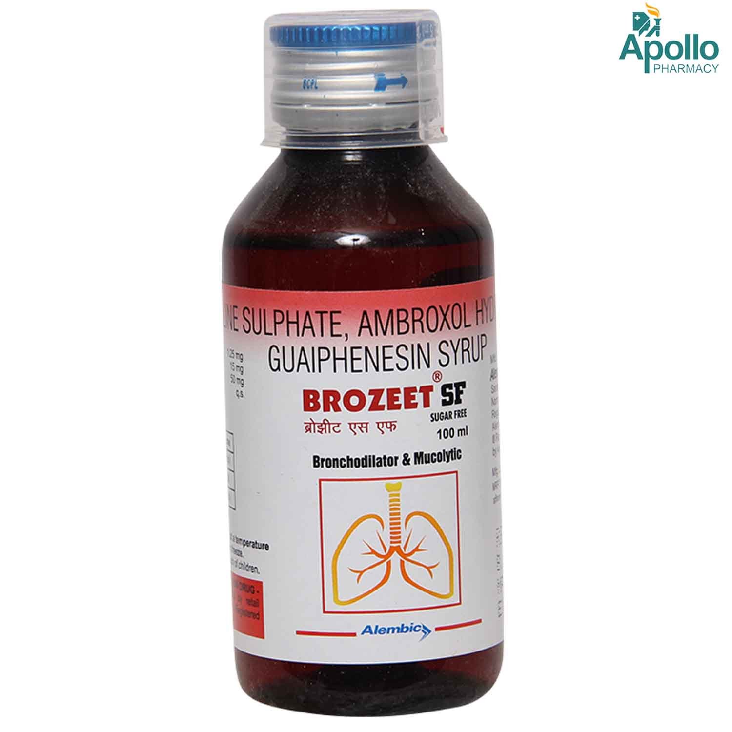 Brozeet Sugar Free Syrup 100 ml, Pack of 1 Brozeet Sugar Free Syrup 100 ml, Pack of 1