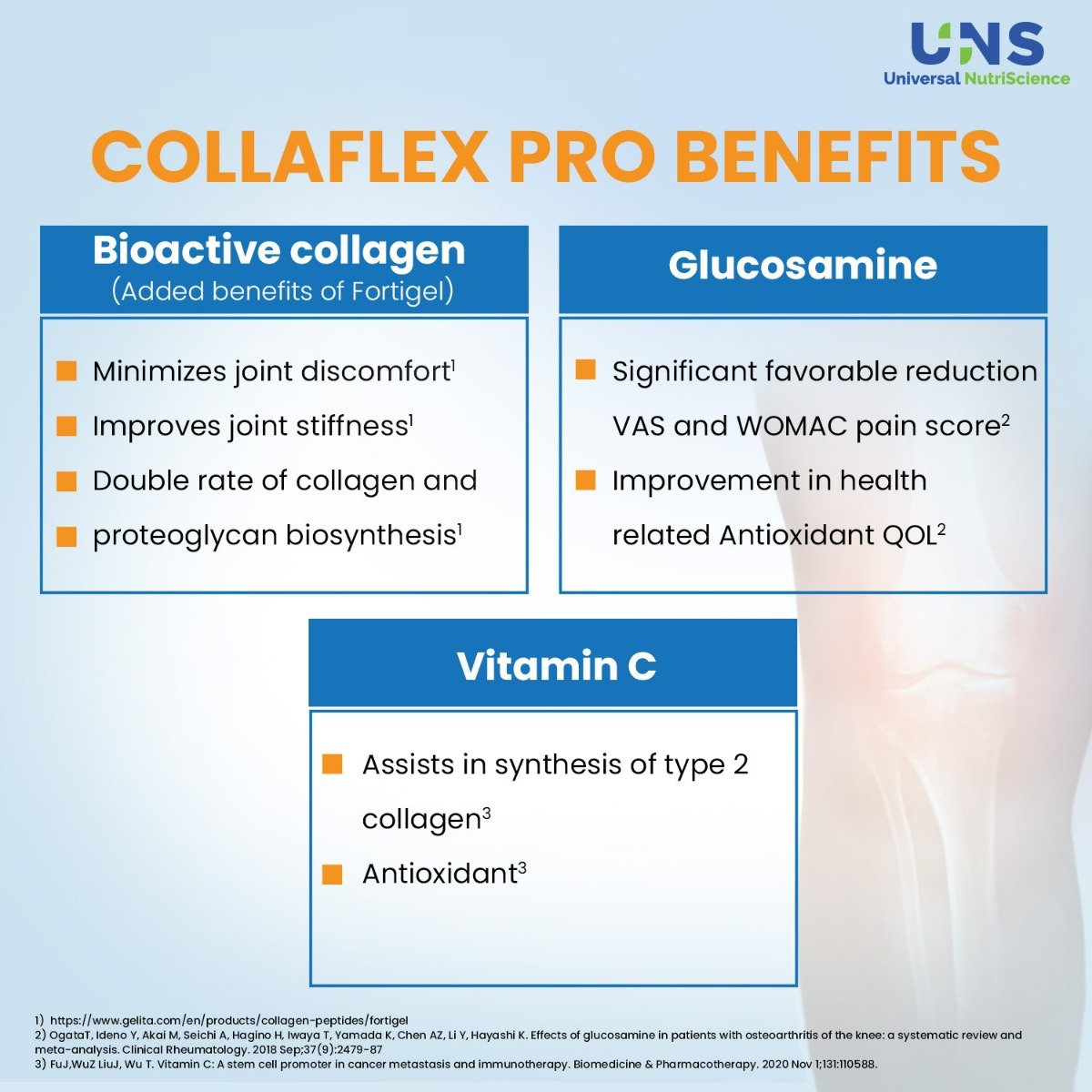 Collaflex PRO Sachet 12.1 gm, Pack of 1 Collaflex PRO Sachet 12.1 gm, Pack of 1