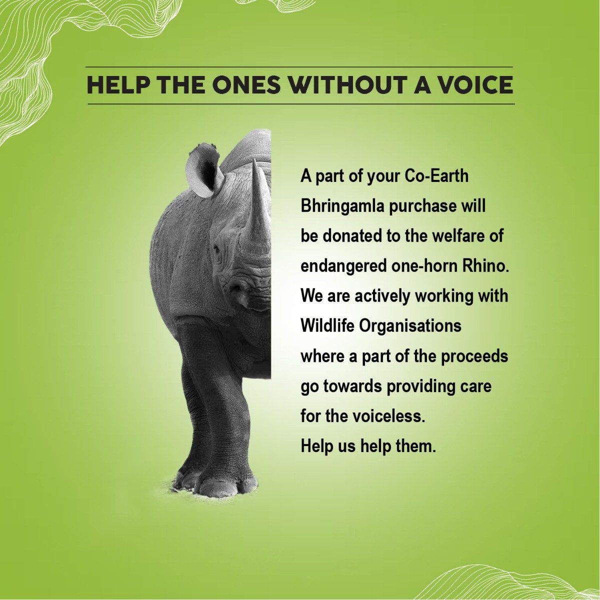 Colorbar Co-Earth Bhringamla Shampoo, 300 ml, Pack of 1 Colorbar Co-Earth Bhringamla Shampoo, 300 ml, Pack of 1