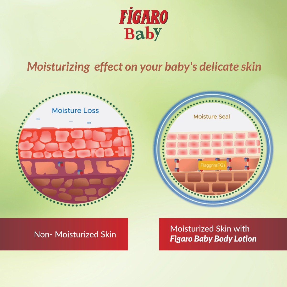 Figaro Baby Body Lotion, 100 ml, Pack of 1 Figaro Baby Body Lotion, 100 ml, Pack of 1