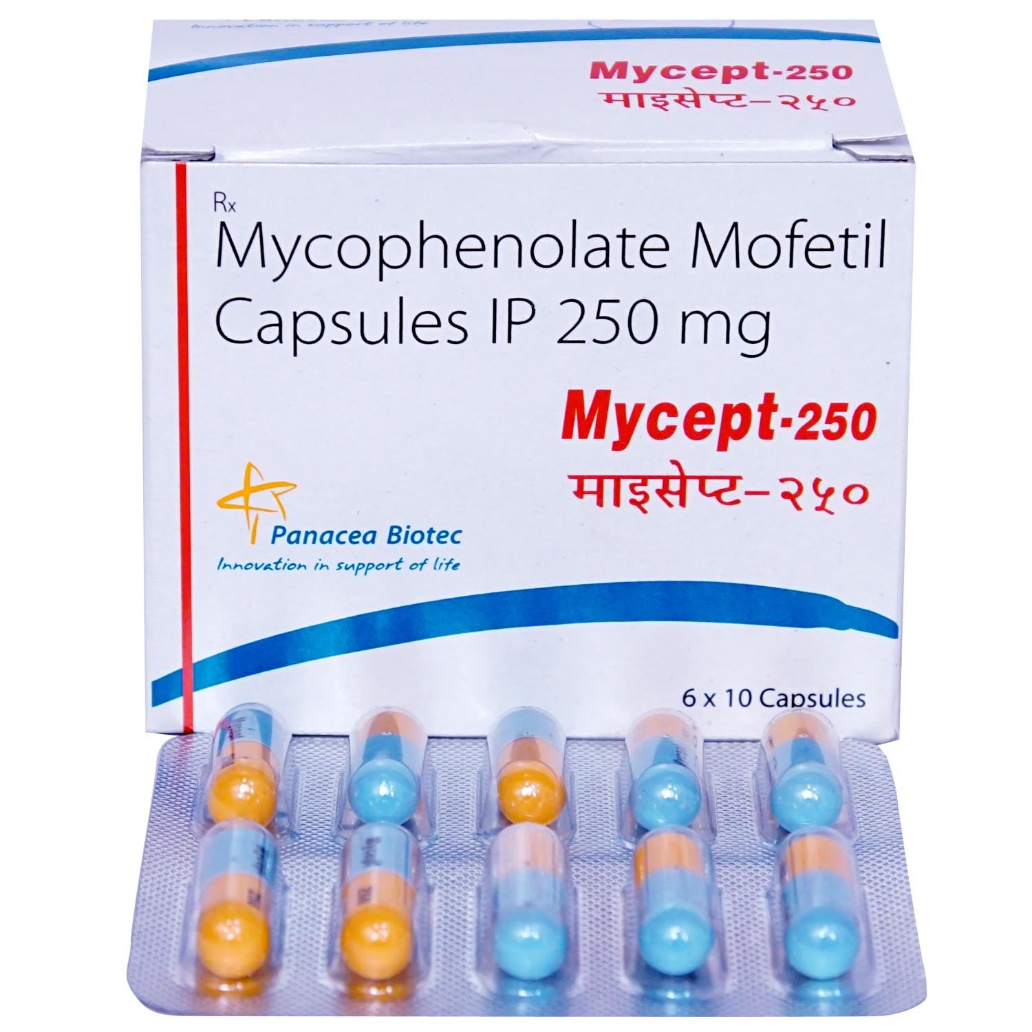 Mycept 250 Capsule 10's, Pack of 10 CAPSULES Mycept 250 Capsule 10's, Pack of 10 CAPSULES