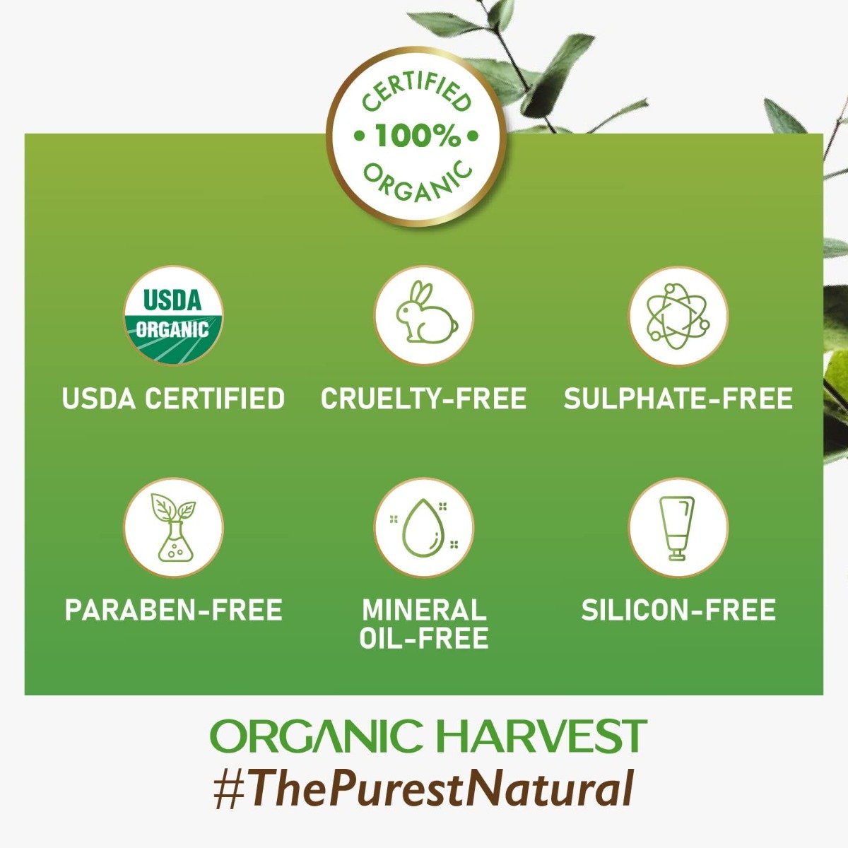 Organic Harvest Gold Age Reversal Facial Kit 1 Count| Ylang Ylang, Avacado & Beetroot | Fights Signs Of Aging | Keep Skin Hydrated & Nourished | Brightens Skin | 100% Certified Organic | For Men & Women | For All Skin Type, Pack of 1 Organic Harvest Gold Age Reversal Facial Kit 1 Count| Ylang Ylang, Avacado & Beetroot | Fights Signs Of Aging | Keep Skin Hydrated & Nourished | Brightens Skin | 100% Certified Organic | For Men & Women | For All Skin Type, Pack of 1