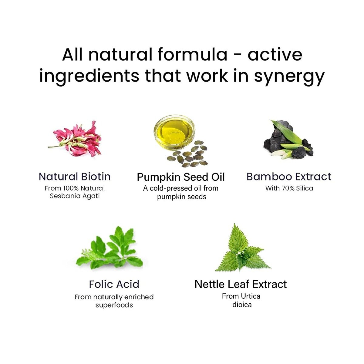 Wellbeing Nutrition Melts Into Healthy Hair Wholefood Biotin 4000 mcg, 30 Strips, Pack of 1 Wellbeing Nutrition Melts Into Healthy Hair Wholefood Biotin 4000 mcg, 30 Strips, Pack of 1